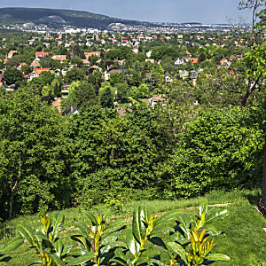 Panorámás társasházi lakás Törökbálinton ELADÓ #4